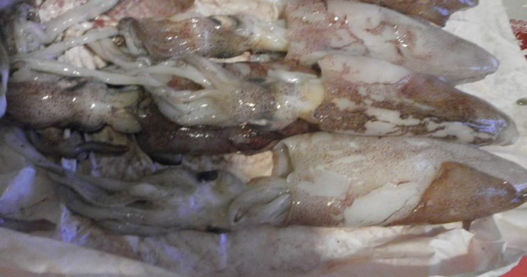 CALAMARI IN UMIDO