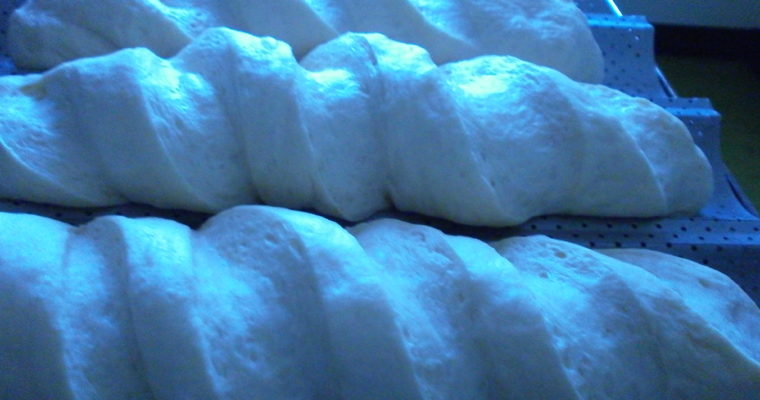 PANE COMUNE CON LIEVITO MADRE