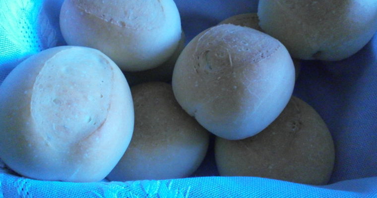 PANINI VELOCI