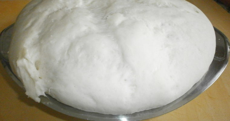 PANE COMUNE CON LIEVITO DI BIRRA