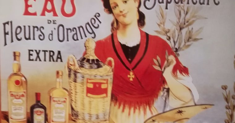 SALSA PROVENZALE ALL’AGLIO