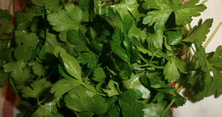 SALSA VERDE 2
