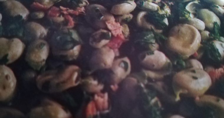 FAVE STUFATE CON PANCETTA
