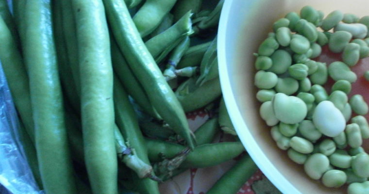 ZUPPA DI FAVA E VERDURE