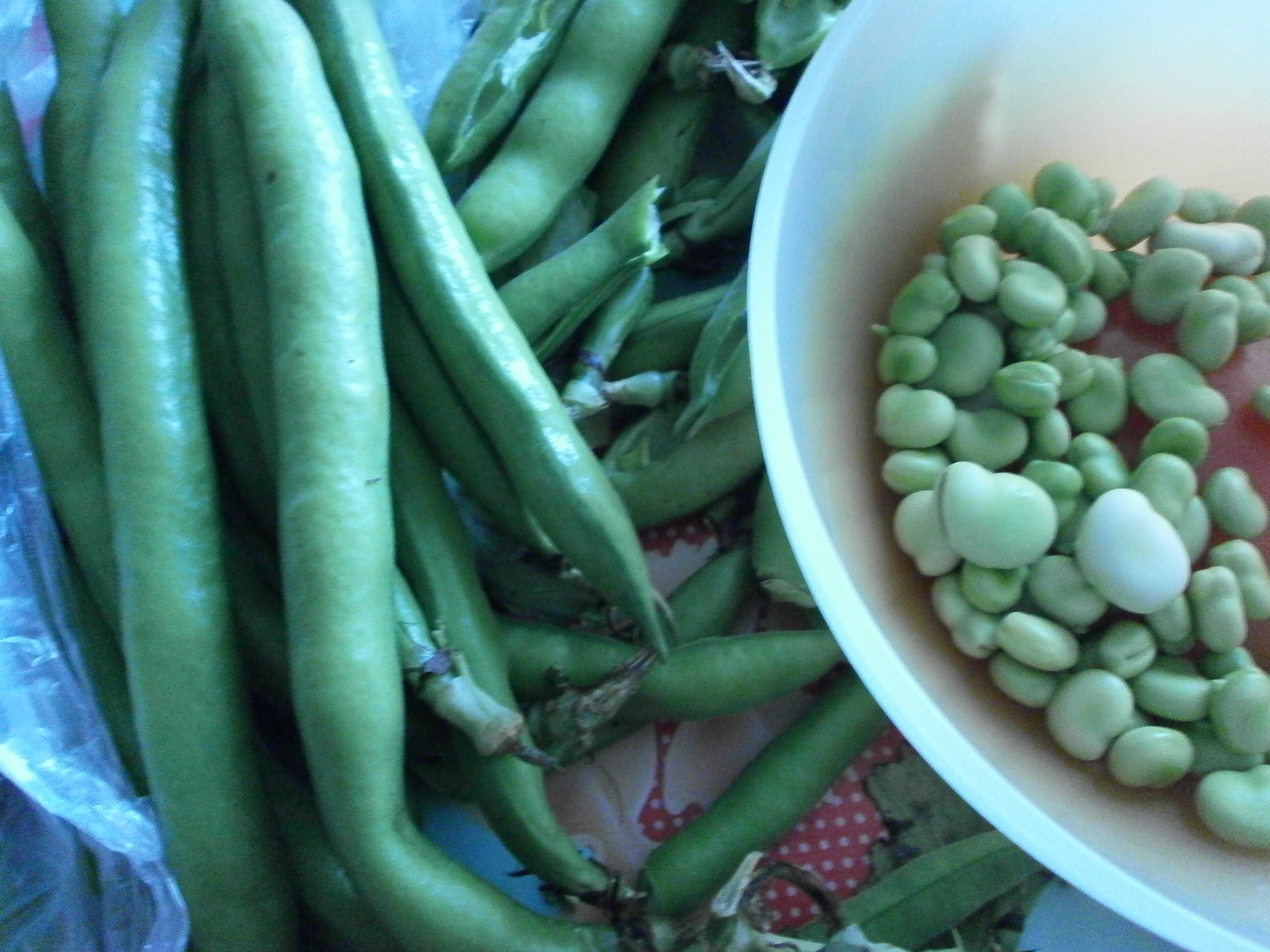 ZUPPA DI FAVA E VERDURE