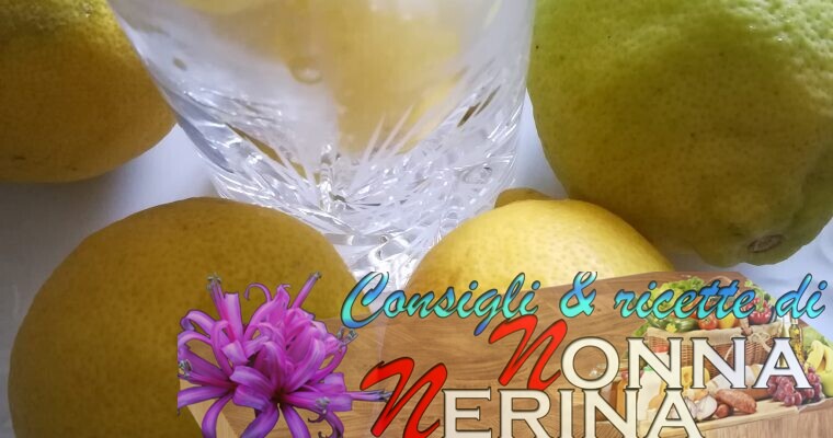 FRESCA LIMONATA ALLA MENTA