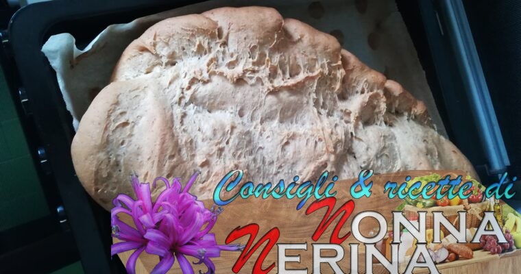 IL BUON PANE QUOTIDIANO