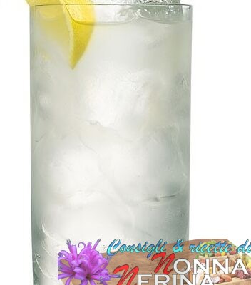 GIN FIZZ