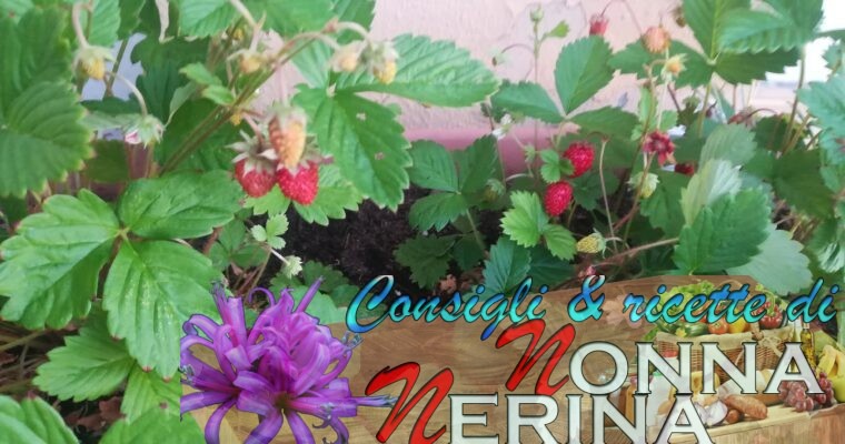 BIANCOMANGIARE ALLE FRAGOLINE